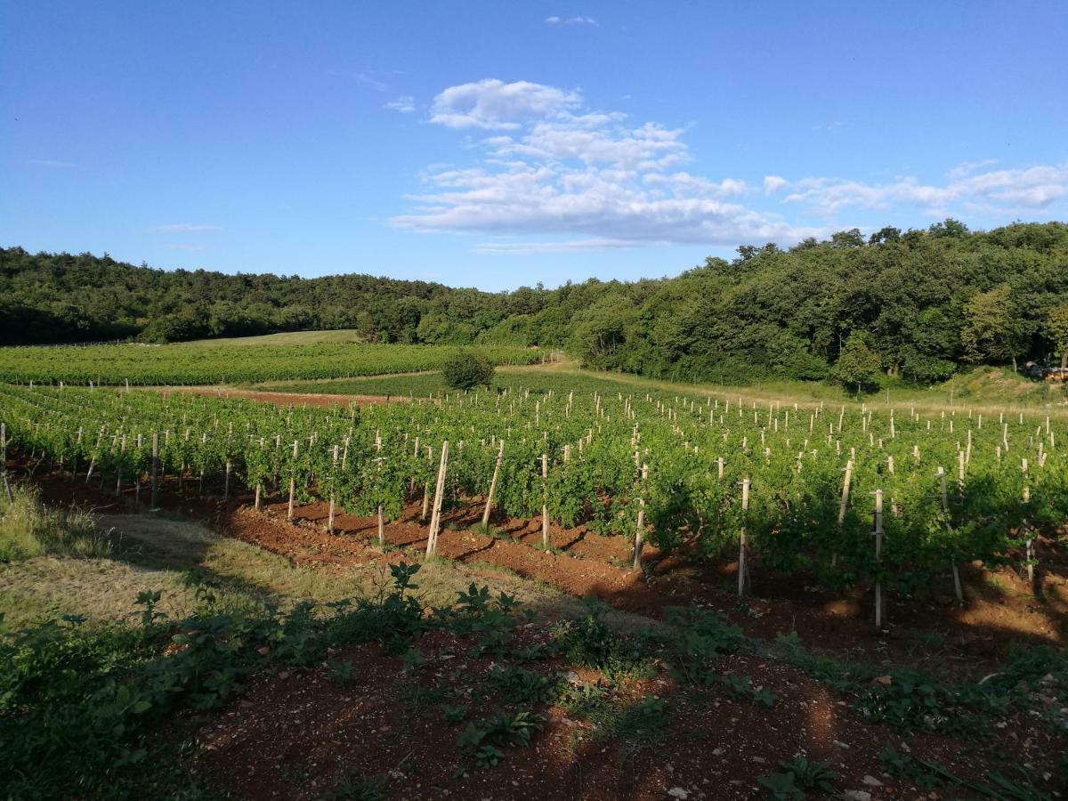 Agriturismo Ostrouska Sgonico Eksteriør bilde